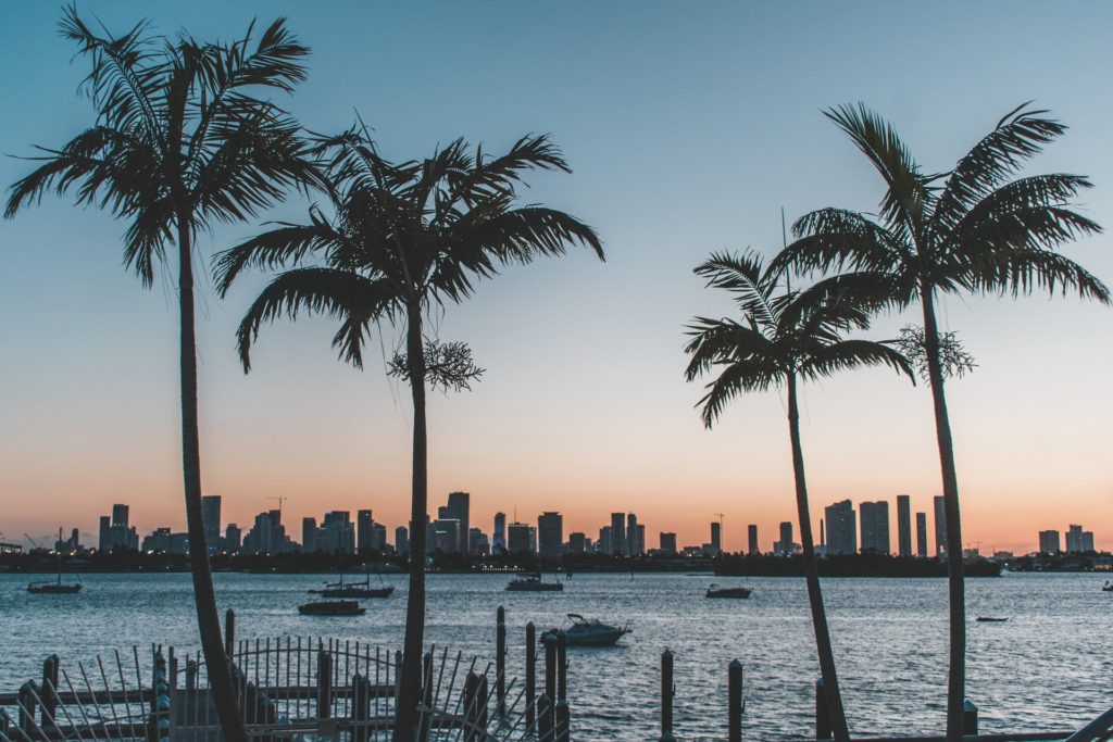 Florida ocean view and palm trees