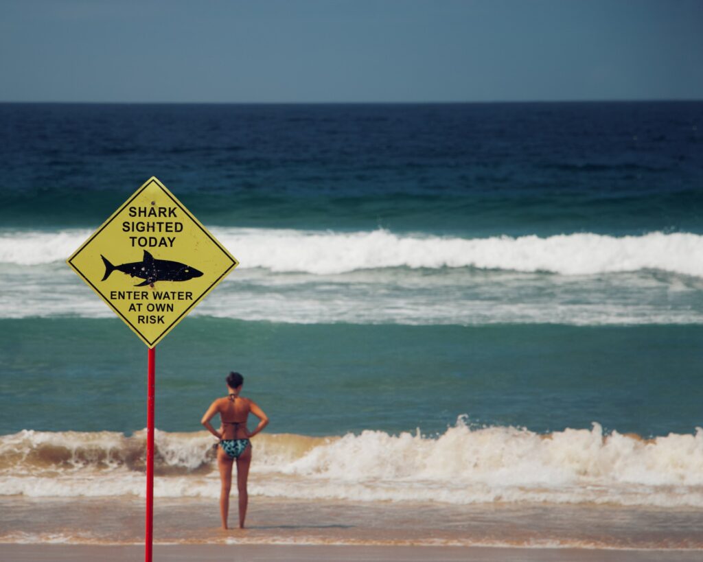 Woman on a beach near a shark sighted today sign